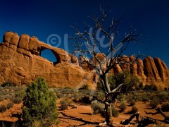 UTAH The Arches National Park